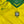 Brazil 2004 Vintage Home Kit